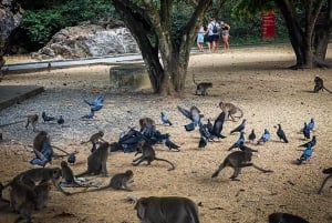 Phuket: James Bond Island med langhalet båd og abetempel