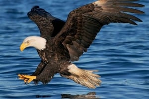 Phuket: rejs łodzią motorową na wyspę Jamesa Bonda z kajakiem i lunchem