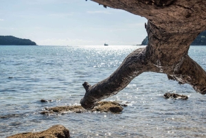 Phuket: Canoa marina sull'isola di James Bond in motoscafo