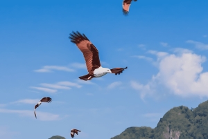 Phuket: Canoa marina sull'isola di James Bond in motoscafo