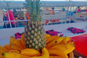 푸켓: 제임스 본드 섬 해상 카누 투어(점심 포함) - 빅 보트 운영