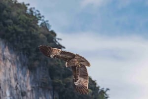 Phuket: James Bond Island Tour By Premium Speed Catamaran