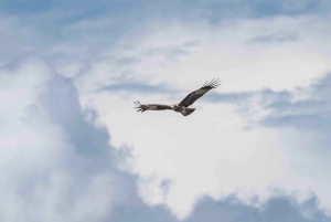 Phuket: Excursão à Ilha James Bond em catamarã de alta velocidade premium