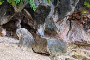 Phuket: James Bond, Ko Panyi, Khai Islands Tour med kanopadling