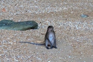 Phuket: James Bond, Ko Panyi, Khai Islands Tour med kanopadling