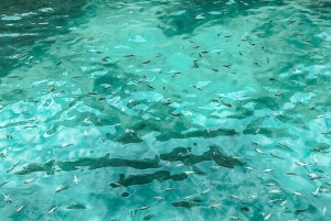 Phuket: Ilha de James Bonds com almoço e canoa de caverna marinha