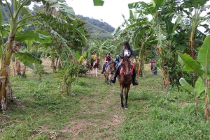 Jazda konna w dżungli Phuket z malowniczymi widokami na las