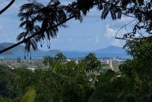 Jazda konna w dżungli Phuket z malowniczymi widokami na las