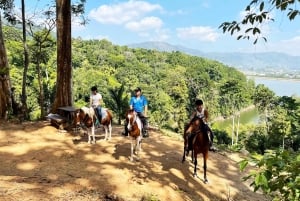Ratsastus Phuketin viidakossa ja maisemalliset metsänäkymät