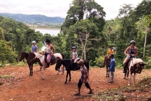 Ratsastus Phuketin viidakossa ja maisemalliset metsänäkymät