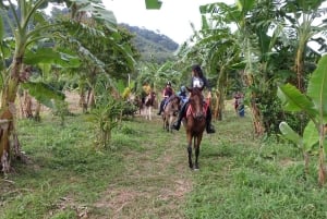 Ratsastus Phuketin viidakossa ja maisemalliset metsänäkymät
