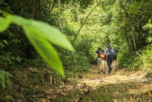 Phuket: Esperienza di trekking nella giungla a Khao Phra Taew