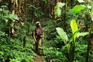 Phuket : Trekking dans la jungle à Khao Phra Taew