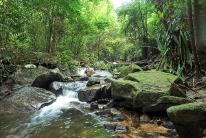 Phuket: Esperienza di trekking nella giungla a Khao Phra Taew