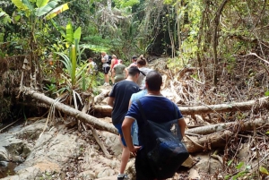 Phuket: Experiência de caminhada na selva em Khao Phra Taew