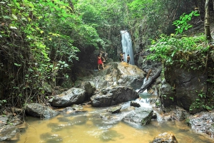 Phuket: Experiência de caminhada na selva em Khao Phra Taew