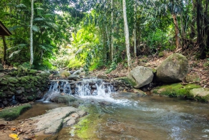 Phuket: Dschungel-Trekking in Khao Phra Taew