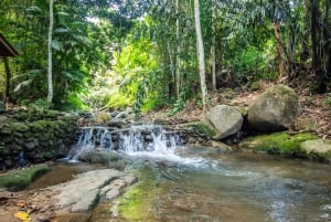 Phuket: Experiência de caminhada na selva em Khao Phra Taew