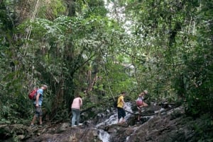 Phuket: Opplevelse av jungeltrekking på Khao Phra Taew