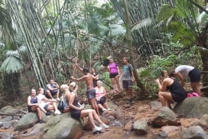 Phuket: Jungle Trekking-oplevelse ved Khao Phra Taew