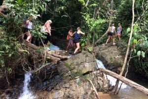 Phuket : Trekking dans la jungle à Khao Phra Taew