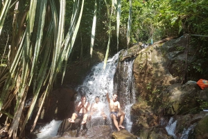 Phuket: Experiencia de senderismo por la selva en Khao Phra Taew