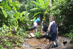 Phuket: Jungle trektocht ervaring bij Khao Phra Taew