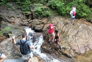 Phuket: Experiência de caminhada na selva em Khao Phra Taew