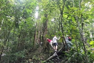 Phuket: Esperienza di trekking nella giungla a Khao Phra Taew