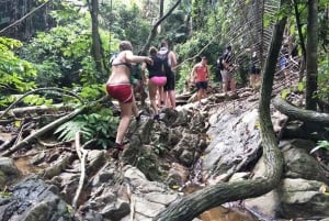 Phuket: Esperienza di trekking nella giungla a Khao Phra Taew