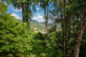 Phuket: Jungle Xtreme Adventure Park -pääsylipun
