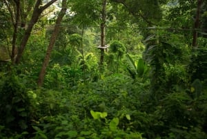 Phuket: Jungle Xtreme Adventure Park -pääsylipun