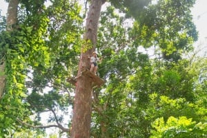 Phuket: Jungle Xtreme Adventure Park -pääsylipun