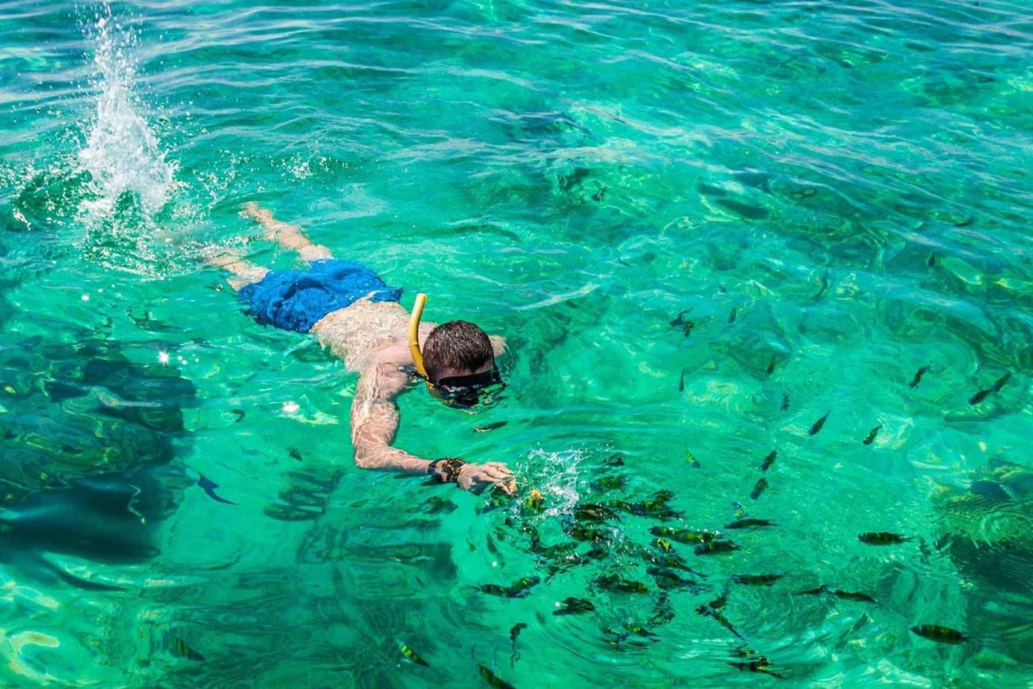 Phuket: Halvdagsomvisning på Khai-øyene med snorkling