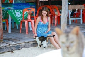 Phuket : Aventure d'une demi-journée en bateau à grande vitesse dans les îles Khai