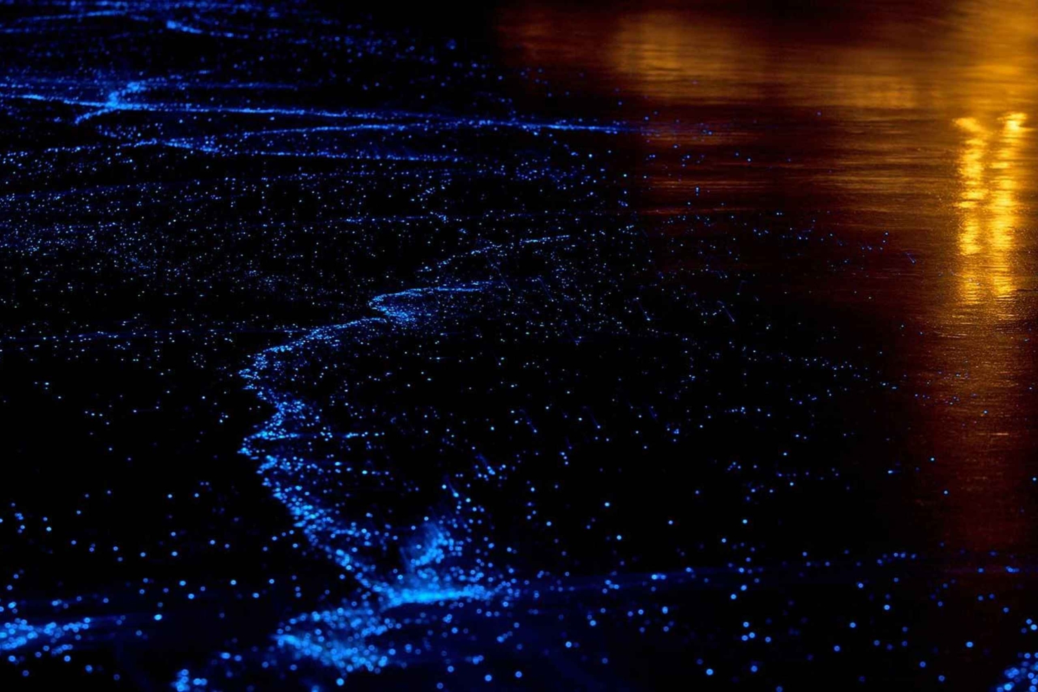 푸켓/카오락: 방 Nga 만의 동굴과 황금빛 시간의 빛