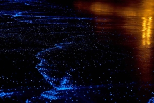 푸켓/카오락: 방 Nga 만의 동굴과 황금빛 시간의 빛