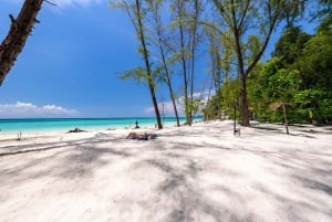 Phuket/Khao Lak: Snorkletur til Phi Phi Phi og Bambusøyene