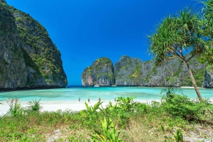 Phuket/Khao Lak: Premium Powercat to Phi Phi & Khai Islands