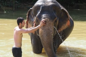 Khao Lak: Bamboo Rafting, Elephants, and Turtle Center Tour
