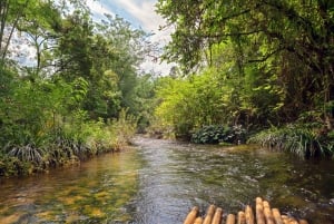 Khao Lak: Bamboo Rafting, Elephants, and Turtle Center Tour