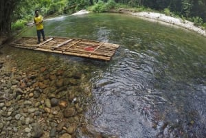 Rafting de bambu, cascata, elefantes e passeio de tartaruga
