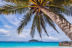 Phuket/Khao Lak: Similany motorówką