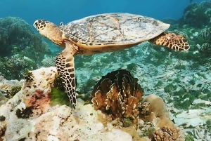 Phuket/Khao Lak: Similany motorówką