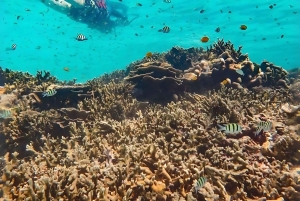 Phuket/Khao Lak: Similany motorówką