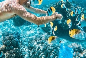 Phuket/Khao lak: Dagsutflykt med snabb katamaran till Similanöarna