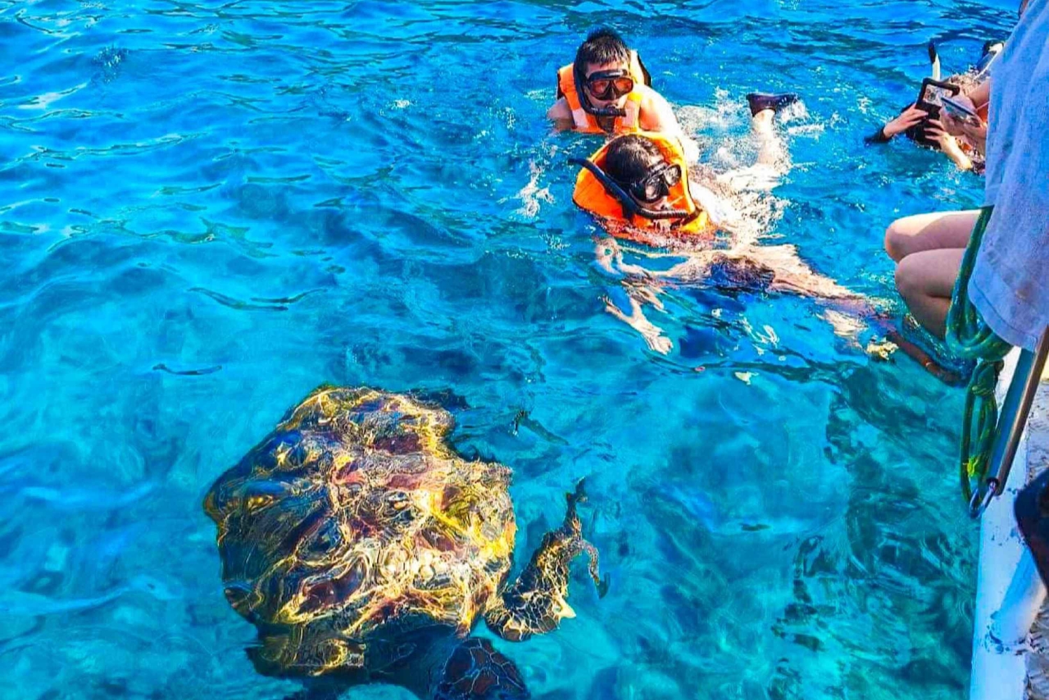 푸켓/카오락: 점심 포함 시밀란 제도 스피드 보트 투어