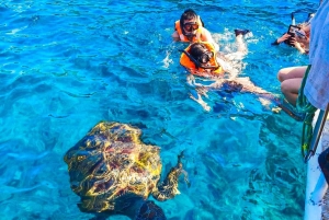 푸켓/카오락: 점심 포함 시밀란 제도 스피드 보트 투어