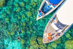 푸켓/카오락: 점심 포함 시밀란 제도 스피드 보트 투어