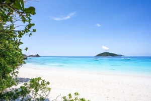 푸켓/카오락: 점심 포함 시밀란 제도 스피드 보트 투어